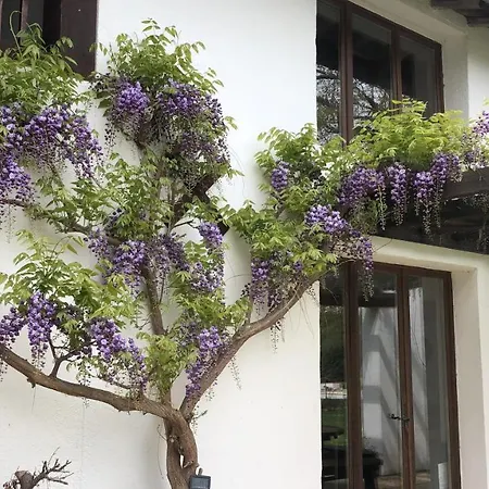 Дом отдыха La Joie De Vivre Bonnefont