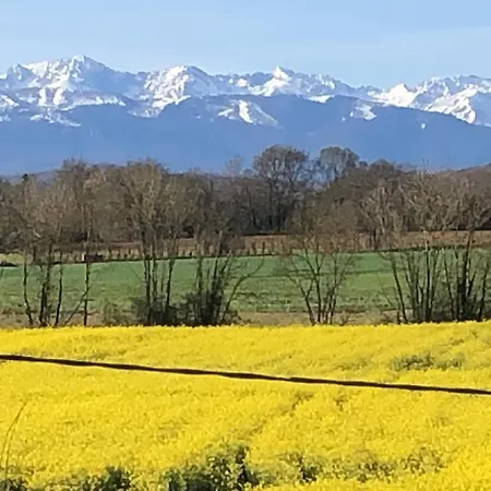 La Joie De Vivre Bonnefont