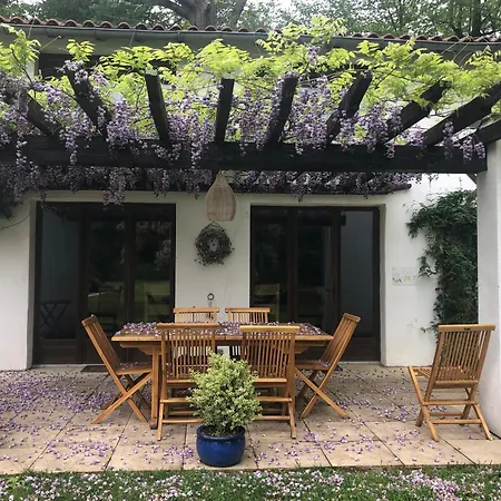 La Joie De Vivre Дом отдыха *