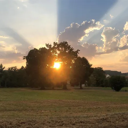 La Joie De Vivre * Bonnefont