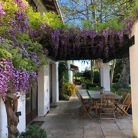 La Joie De Vivre Дом отдыха *