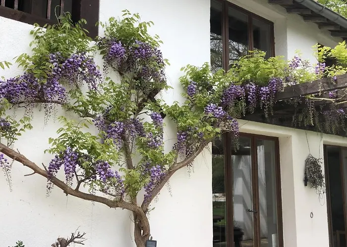 Prázdninový dům La Joie De Vivre Bonnefont