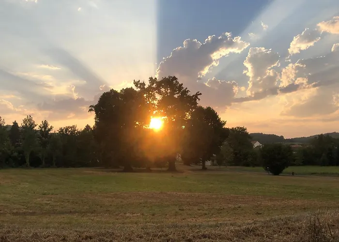 La Joie De Vivre * Bonnefont